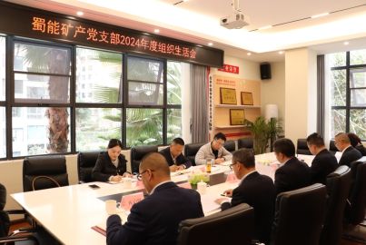 蜀能礦產(chǎn)黨支部召開2024年度組織生活會