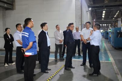 省經(jīng)濟合作局托底性幫扶工作組到蜀能礦產(chǎn)磷酸鐵鋰廠調(diào)研